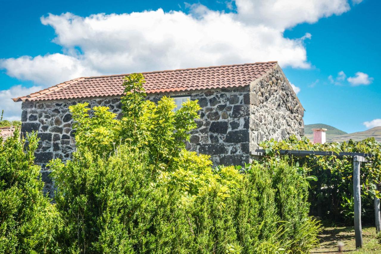 Вилла Quinta Dos Frutos Санта-Крус-да-Грацио Экстерьер фото